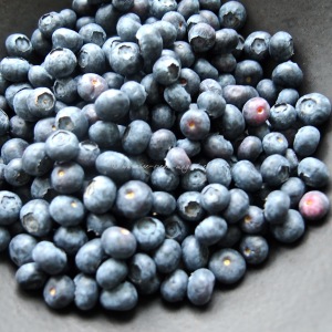 blueberry, lime & vodka sorbet