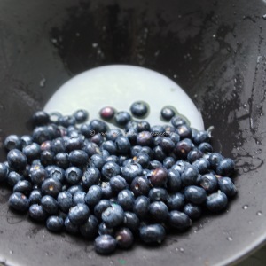blueberry, lime  vodka sorbet © www.ice-cream-magazine.com
